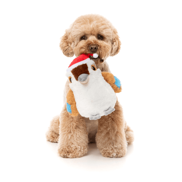 FuzzYard Xmas Toy - Ka-Tree-Na the Kookaburra