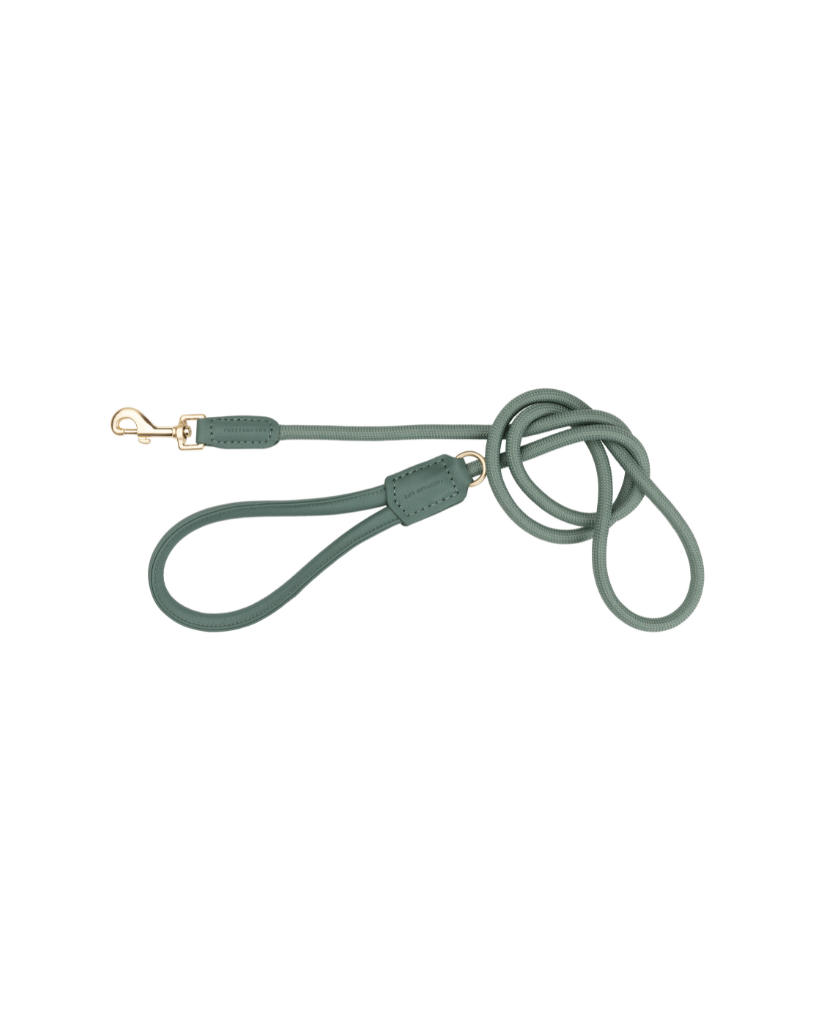 Myrtle Green - Atelier Dog Leash