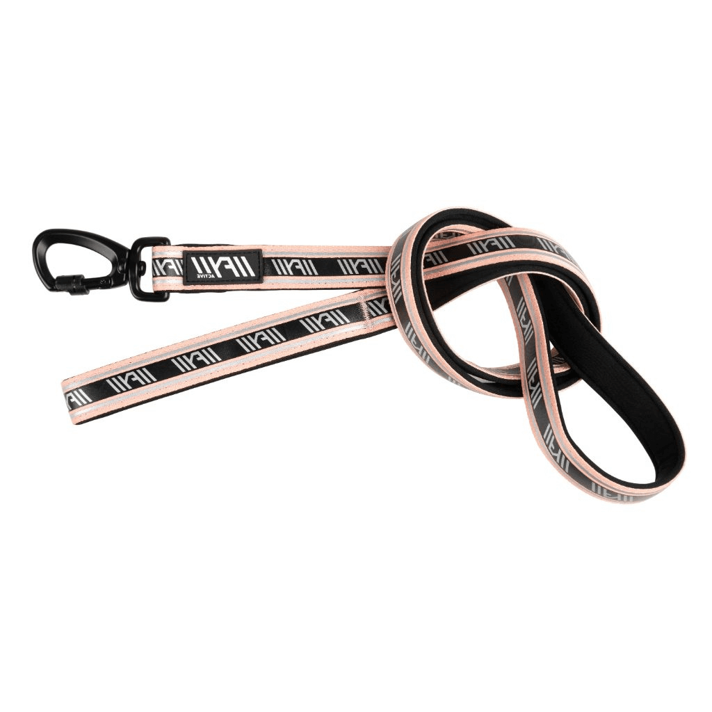 Peach - FY Active Dog Leash