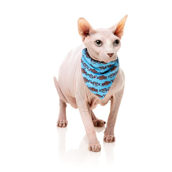 Soy Sauce Fish - Fashion Pack for Cats