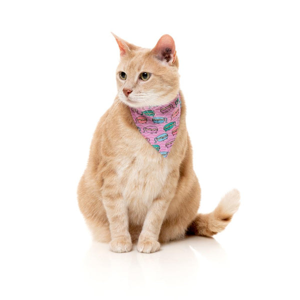Meowcarons - Fashion pack for cats