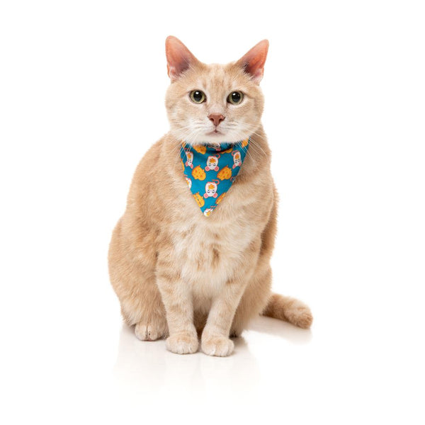 Cheesy Hearts - Fashion pack for cats