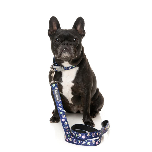 PLUTO PUP - Collar para perros