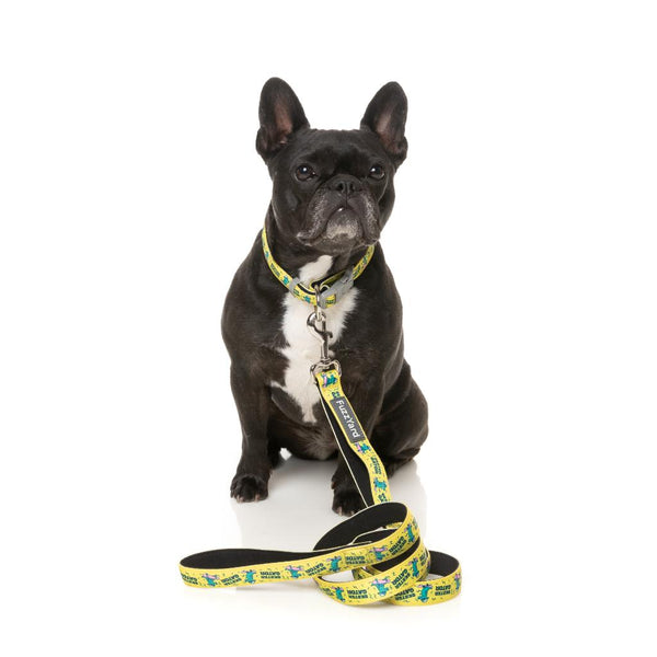 SK8TER GATOR - Dog Leash