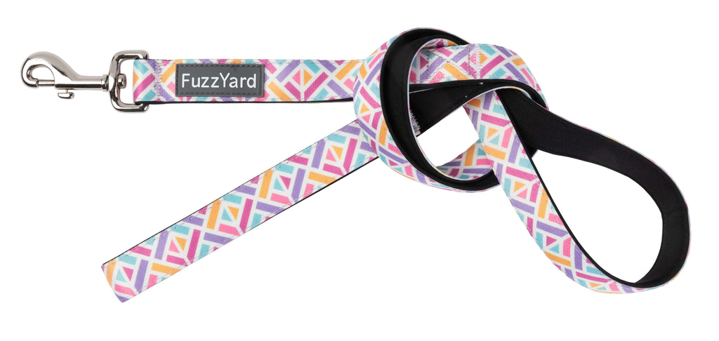 Bubblegum Burst - Dog Leash