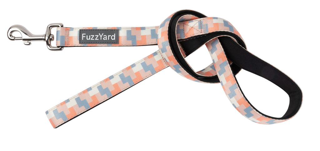 Yazd - Dog Leash