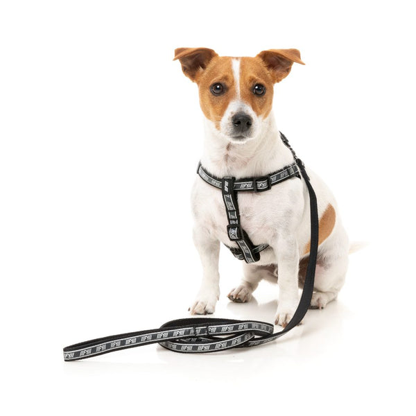 Black - FY Active Dog Leash