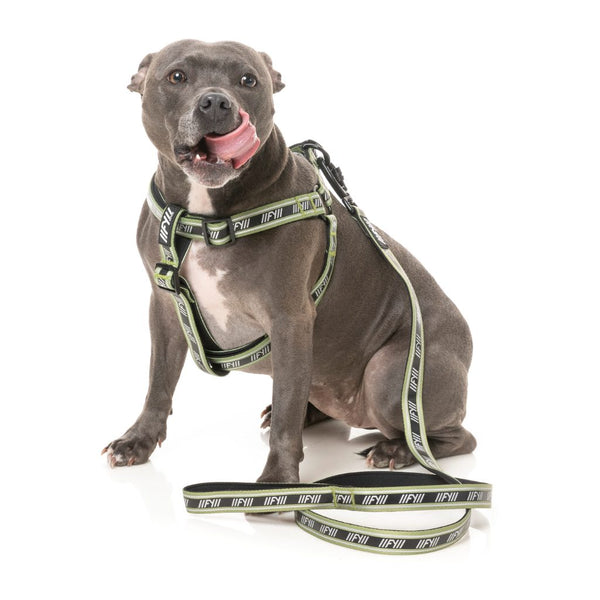 Khaki - FY Active Dog Leash