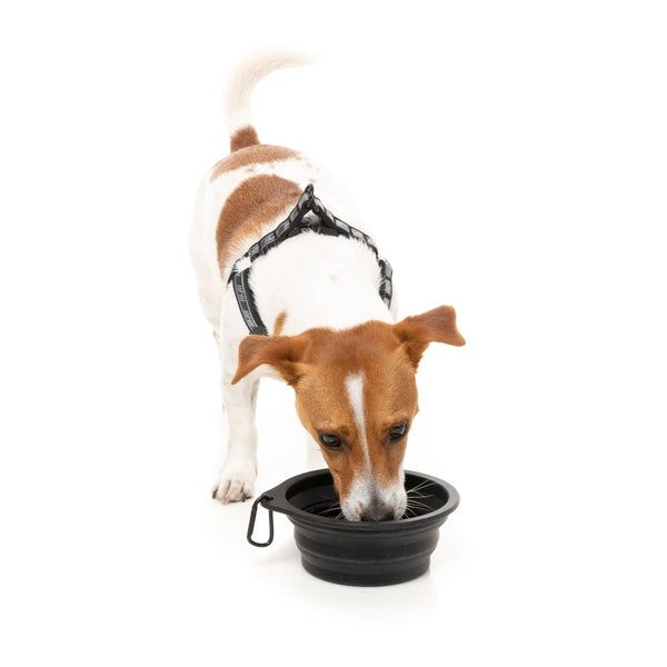 FY Active Collapsible Silicone Dog Bowl - Dog Feeder