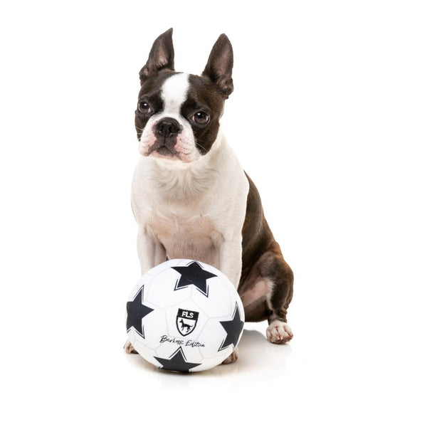 Plush Toy Soccer Ball - Dog Toy