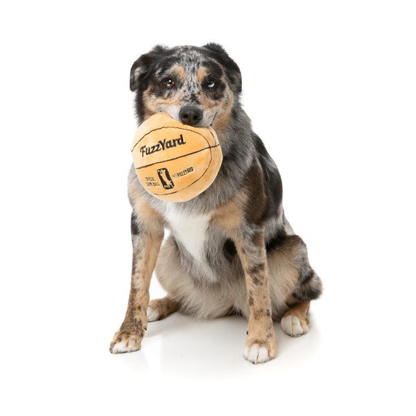 Basketball - Dog Toy