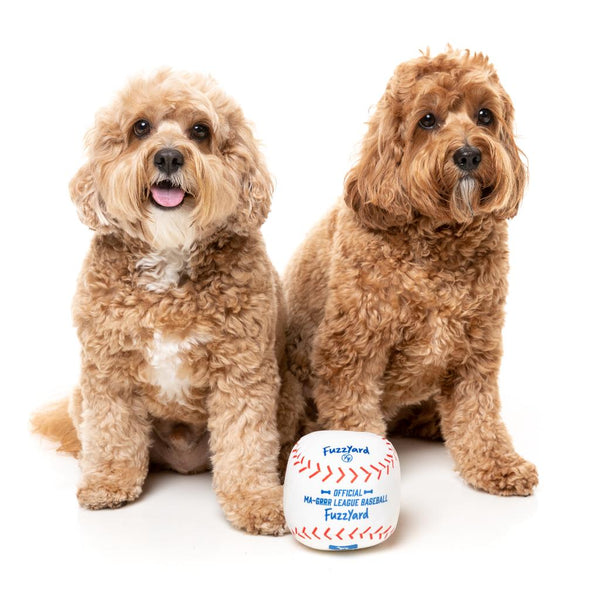 Baseball - Dog Toy