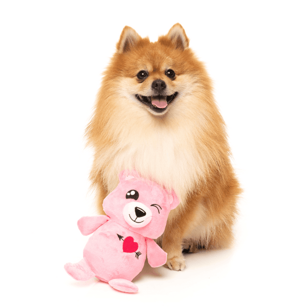 Nothing Butt Love Bear - Love Collection Toy - Juguete para perro