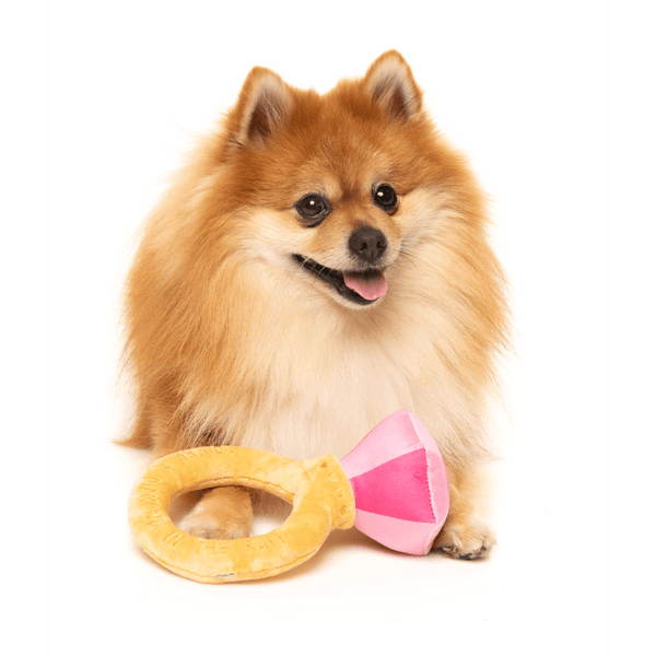 Diamond In The Ruff Ring - Love Collection Toy -  Juguete para perro