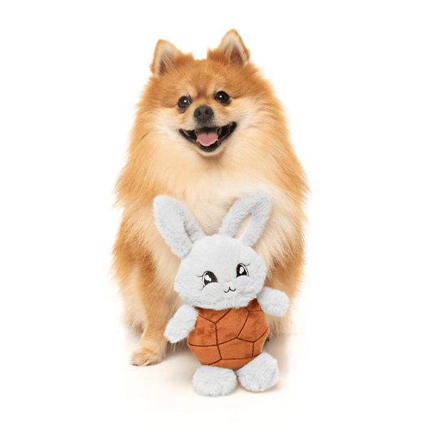 Choc Belly Bunny - Juguete para perro