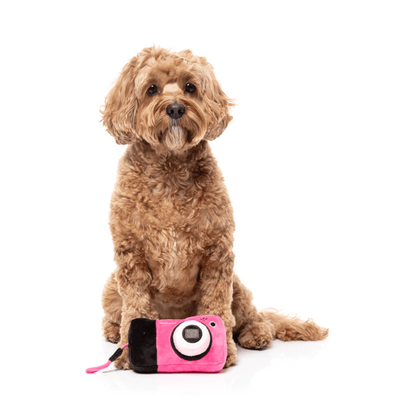 Digicam - Y2K Slumber Party - Juguete para perro