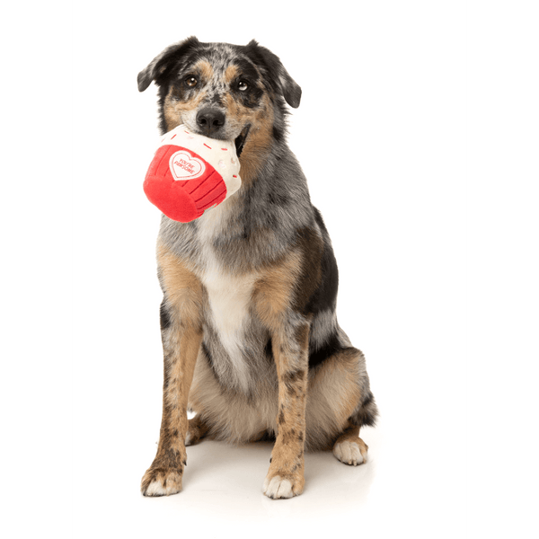 You're Pawsome Cupcake - Love Collection Toy - Juguete para perro
