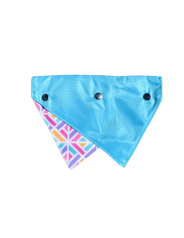Best In Show Dog Harness