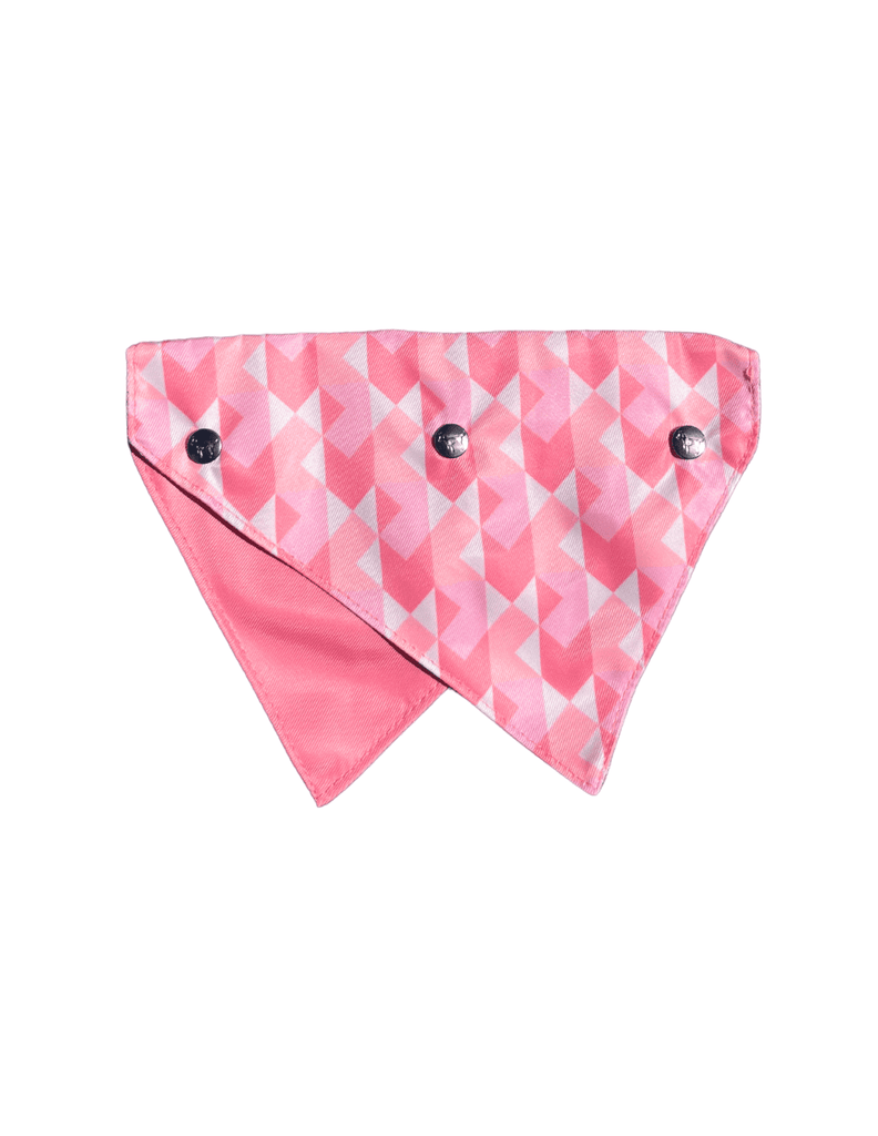 Best In Show Dog Harness
