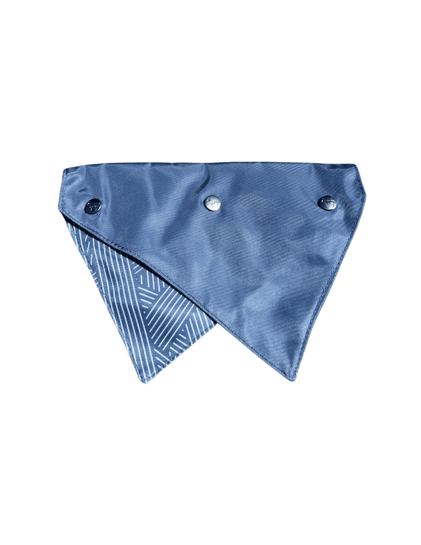 Best In Show Dog Harness