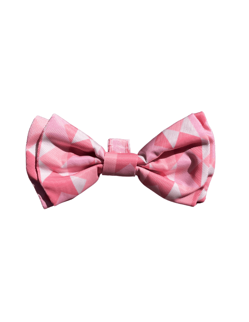 Best In Show Pet Bowtie