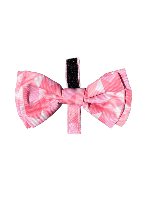 Best In Show Pet Bowtie