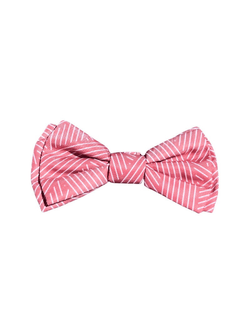 Best In Show Pet Bowtie