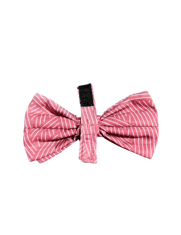 Best In Show Pet Bowtie