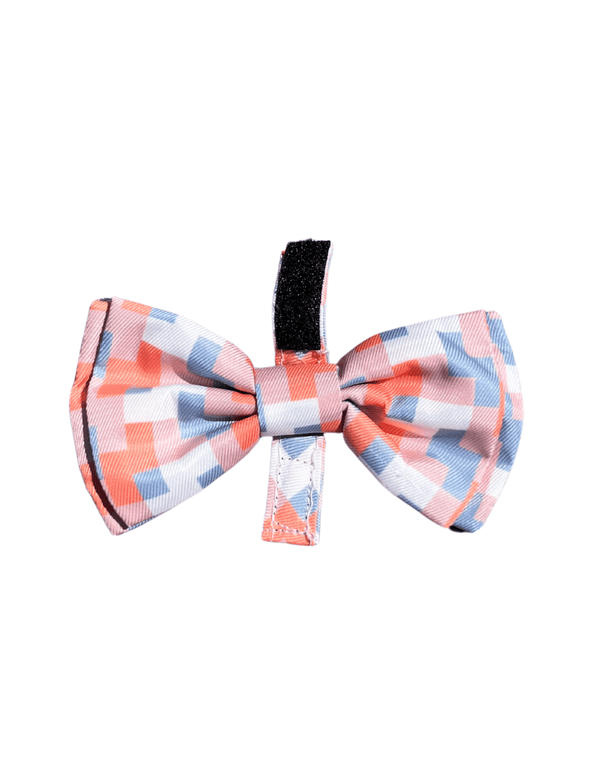 Yazd - Bow tie for dogs and cats