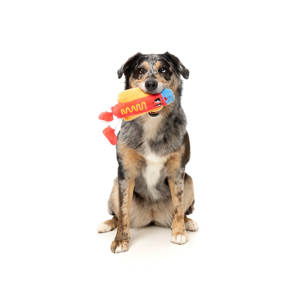 Franky The Homies - Dog Toy