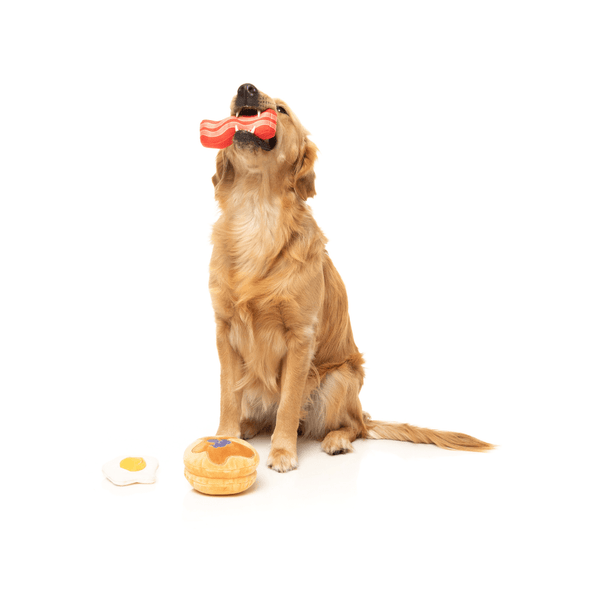 Dog's Breakfast Perfect Match - Dog Toy
