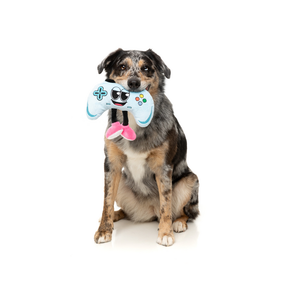 Gamezy The Homies - Dog Toy