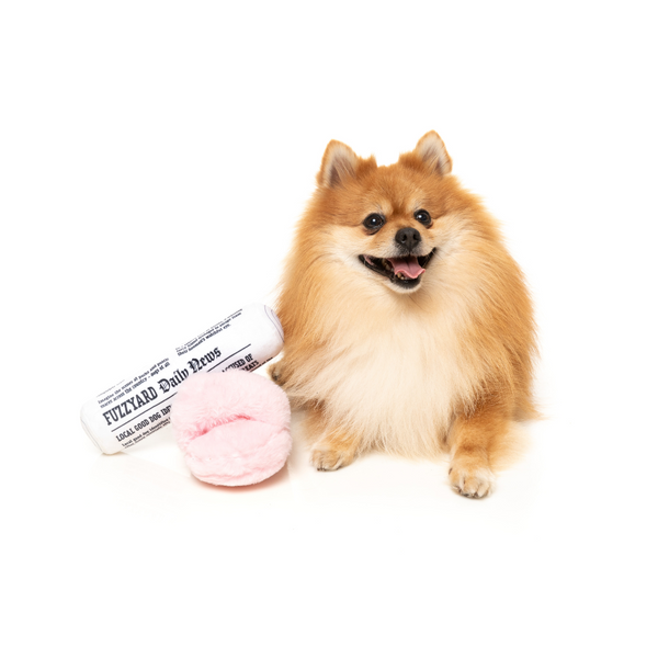 Fetch My Slippers & Paper Perfect Match Dog Toy