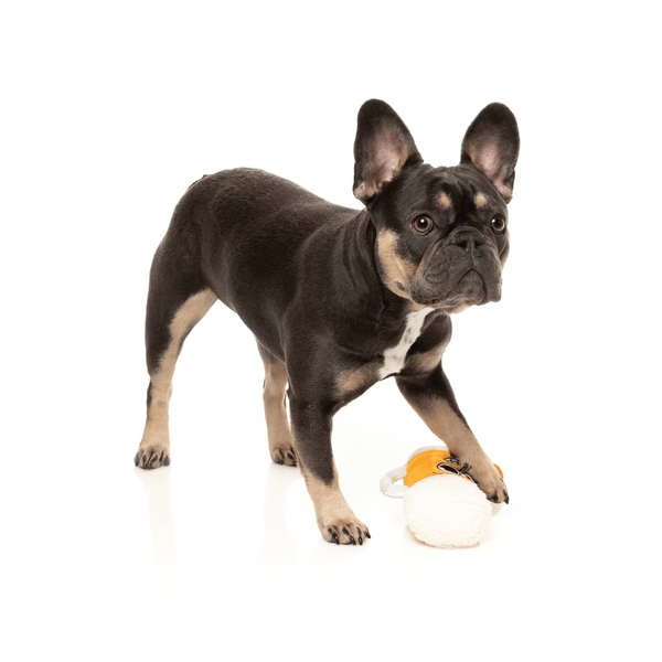 Steinz The Homies - Dog Toy