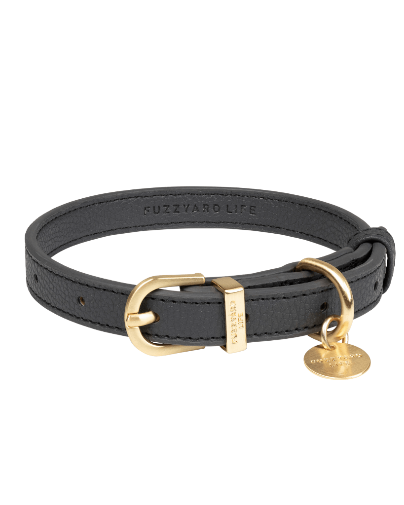 Slate Grey - Atelier Dog Collar