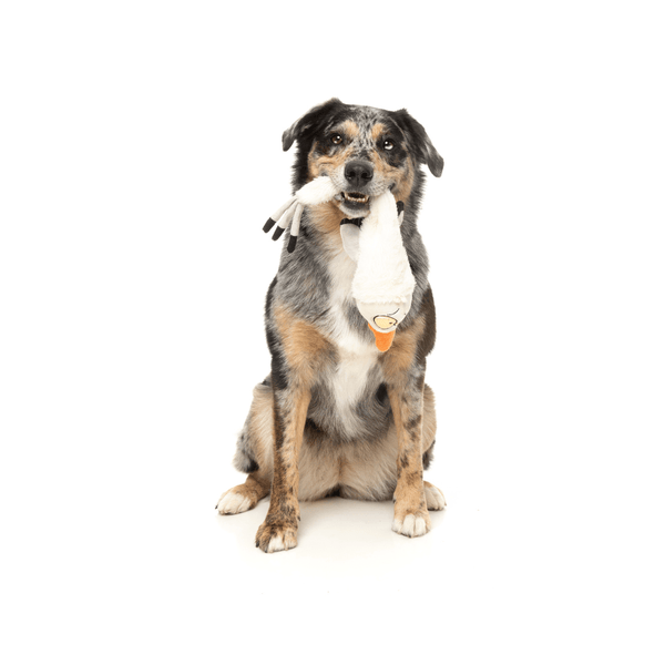 See-Ya Seagull The Yeetz - Juguete para perros