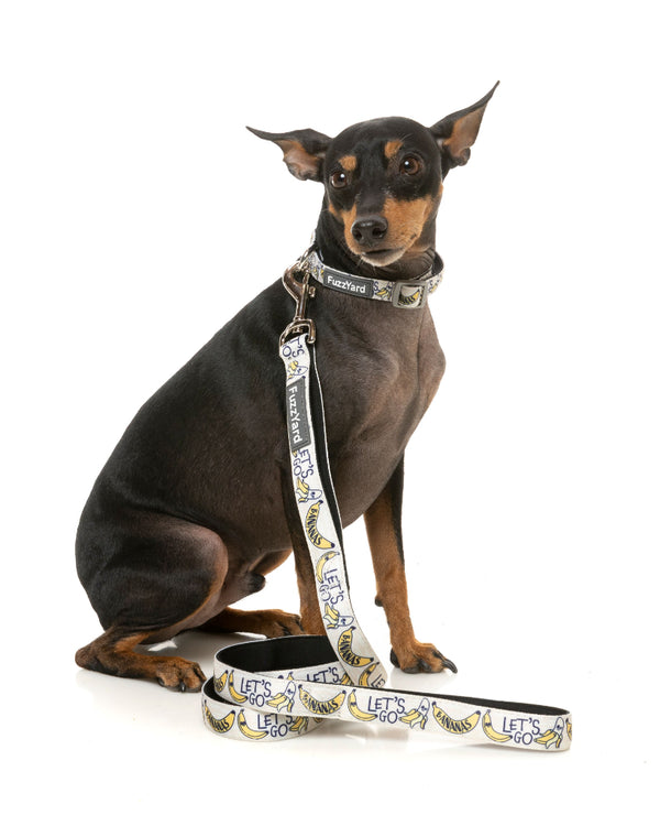 Go Banana - Dog Leash