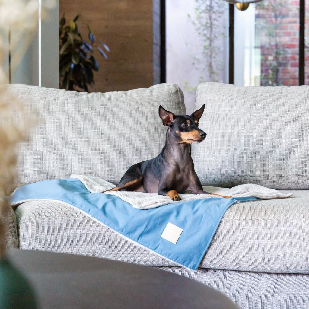 French Blue - Coperta reversibile FuzzYard Life