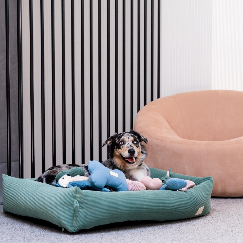 Osso di pietra arenaria - Giocattolo per cani FuzzYard Life