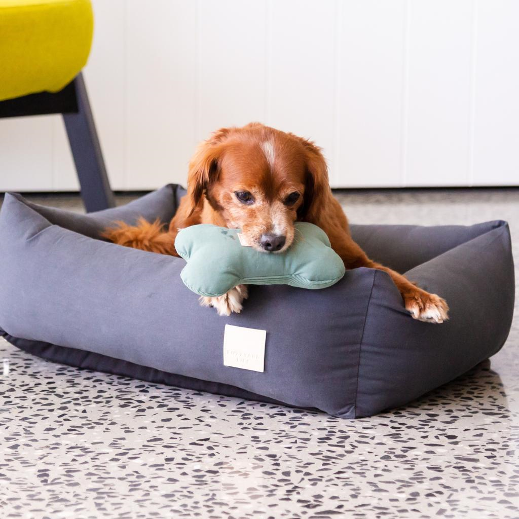 Osso verde mirto - Giocattolo per cani FuzzYard Life