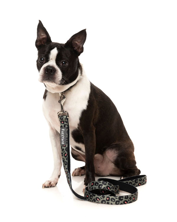 Savanna - Dog Leash