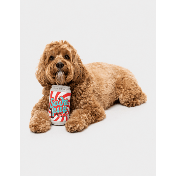 Soda Pup Cola - Drinks Can - Juguete para perro