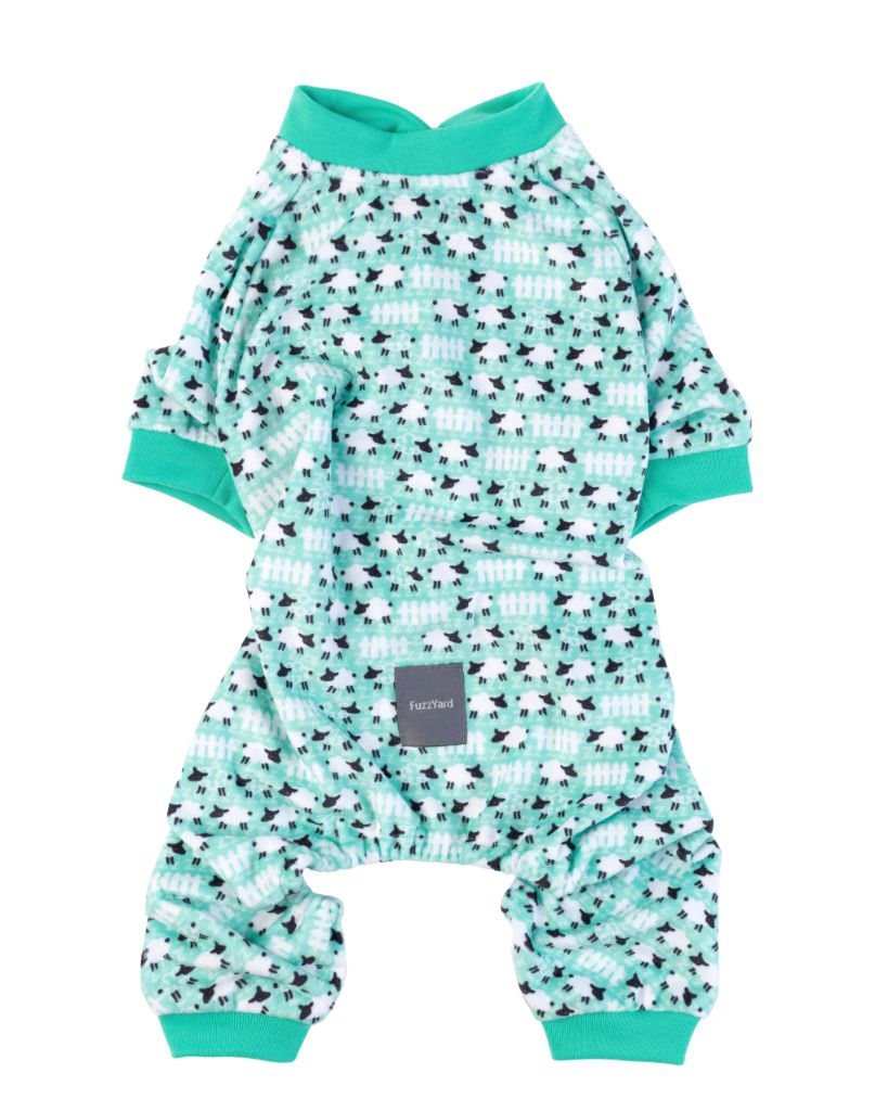 Dog Pyjama Dinosaur Land