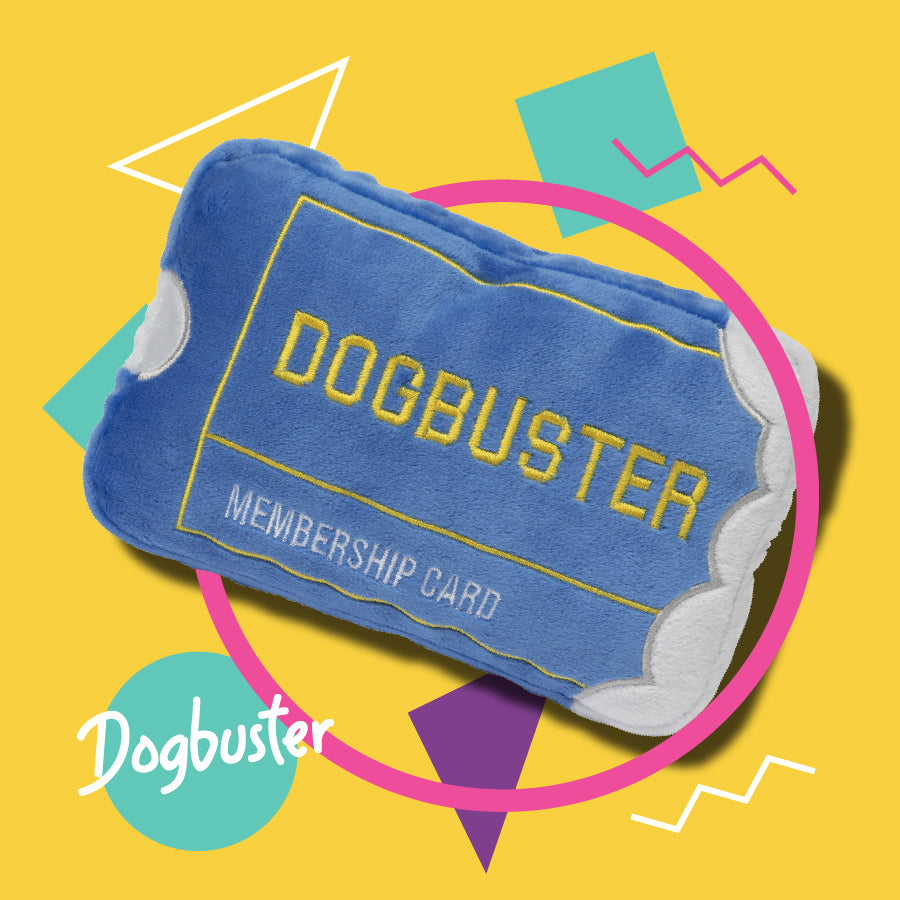 Dogbuster Card - Dog Toy