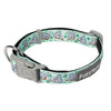 Dreamtime Koalas - Dog Collar