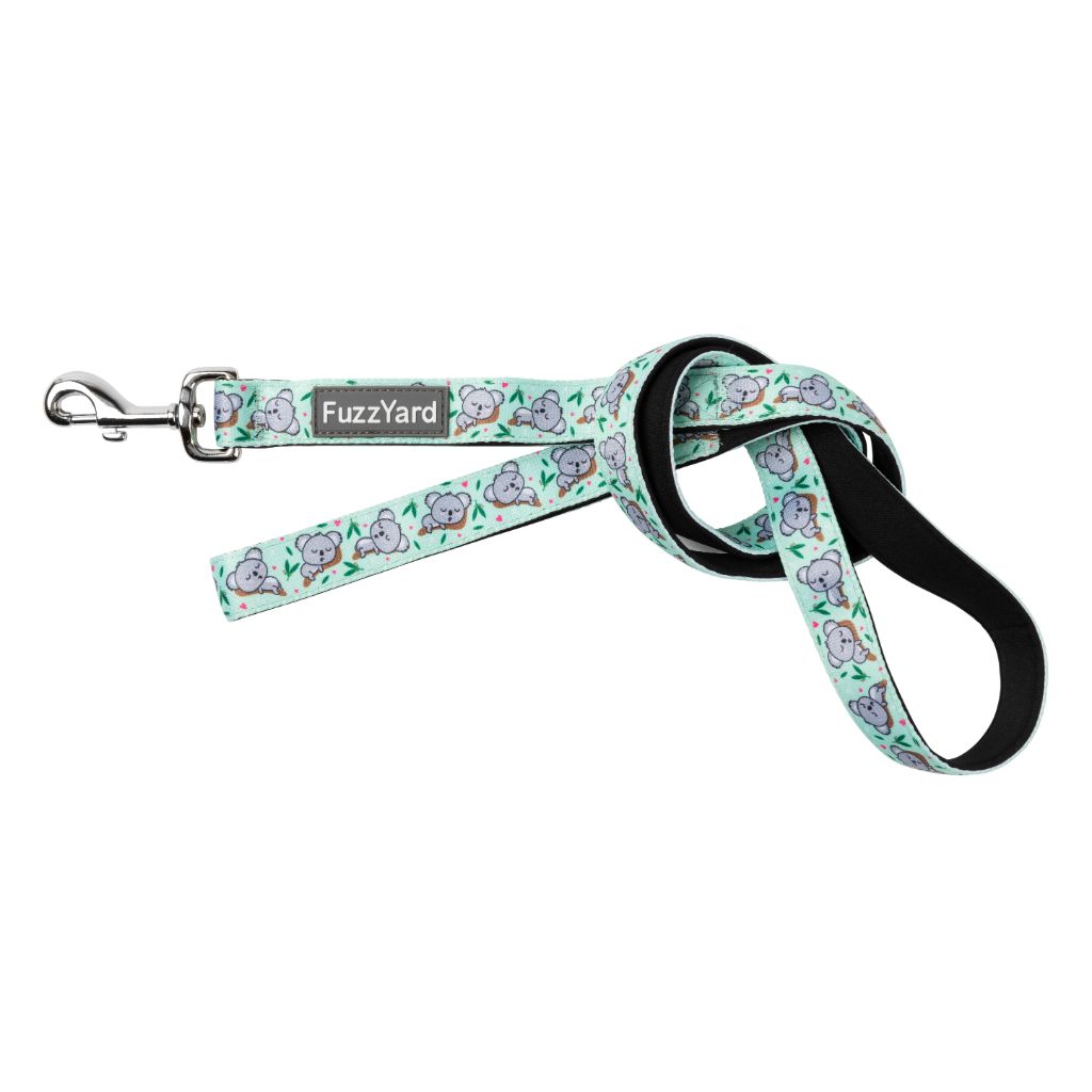 Dreamtime Koalas - Dog Leash