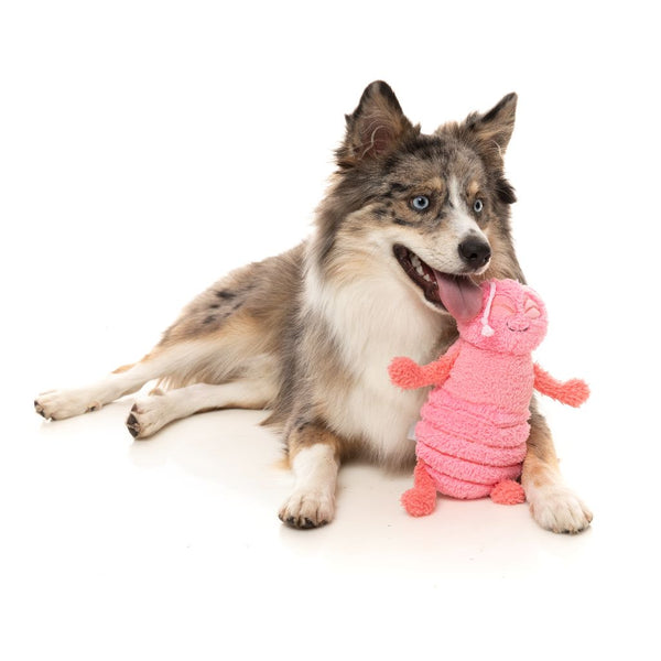 Flutter The Bed Bug - Dog Toy