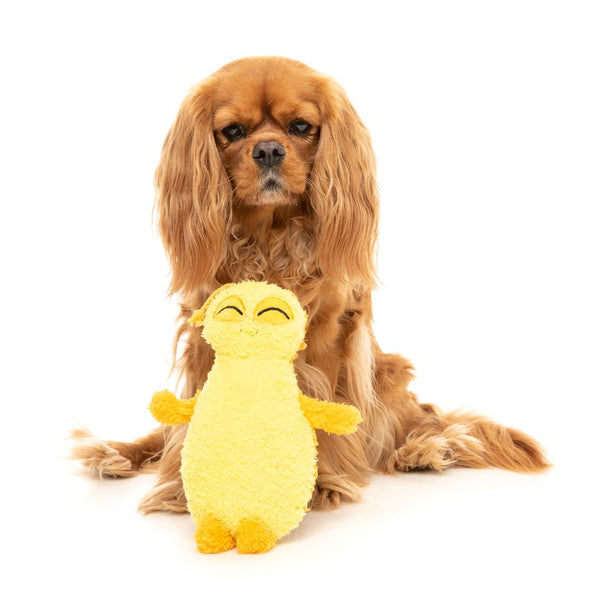 Belly The Bed Bug - Dog Toy