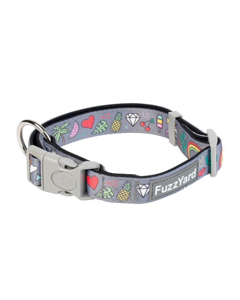 Coachella - Collar para perros