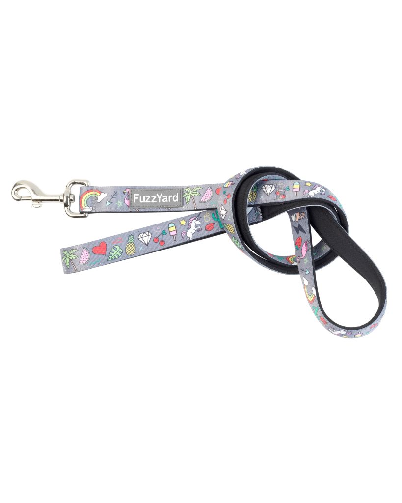 Coachella - Dog Leash